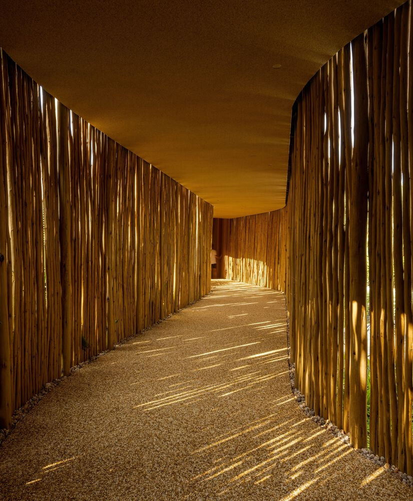 Curved corridor with vertical bamboo slat walls and timber ceiling creating filtered sunlight patterns at golden hour