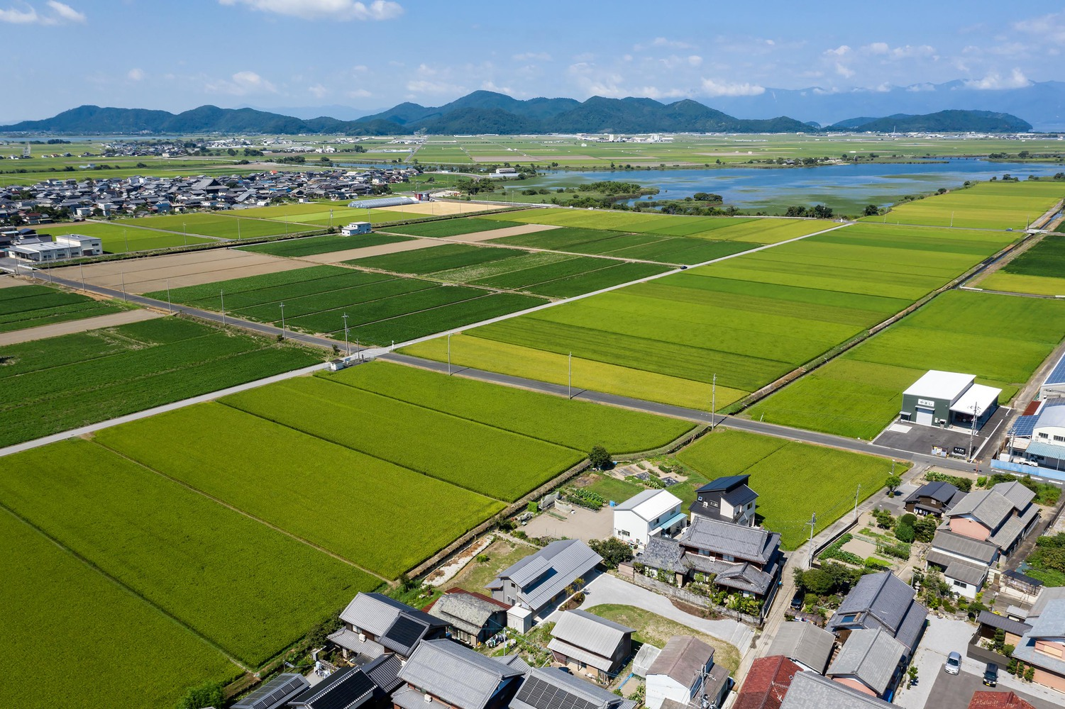 Aerial wide: rice paddies reaching to Lake Biwa visible at top left, mountains, village cluster with the house at centre