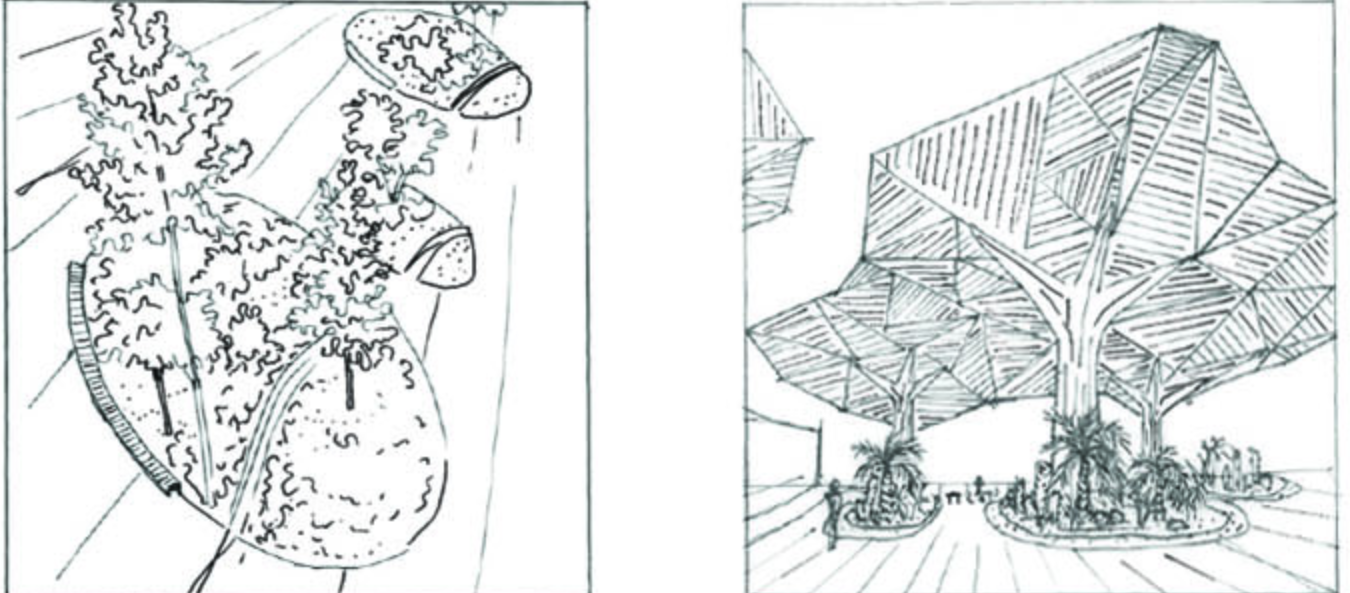 Concept sketches: organic sculptural forms and a timber canopy pavilion sheltering a public gathering space