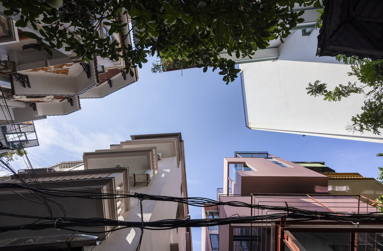 View upward through tree canopy showing white and pink stacked volumes under clear blue sky