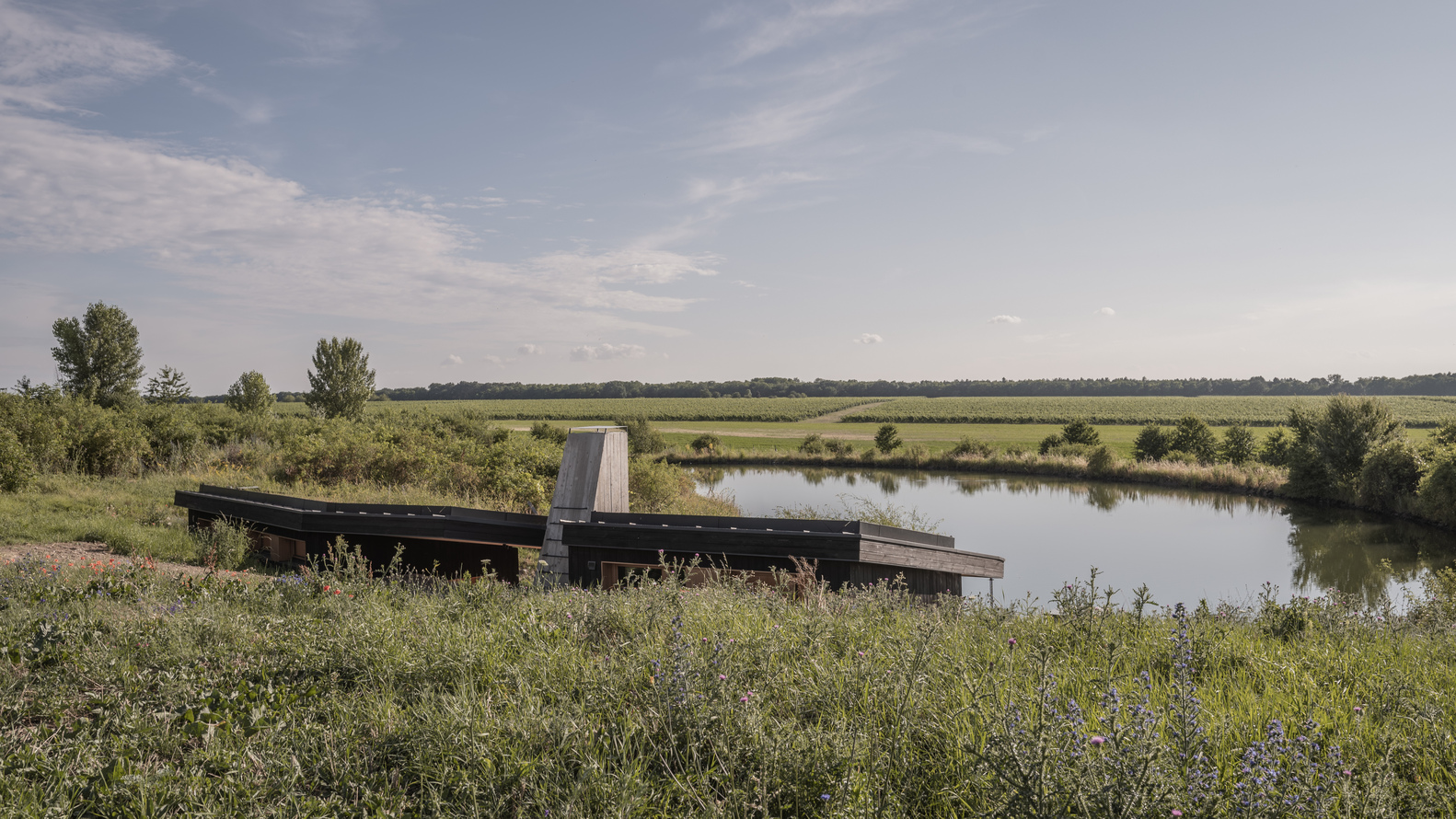 Wide landscape: green roof and dark house beside the natural swimming pond, flat farmland stretching to the horizon