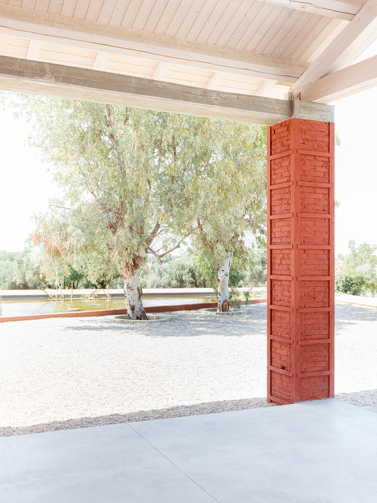 Open red timber door framing olive trees in a sunlit gravel courtyard beyond