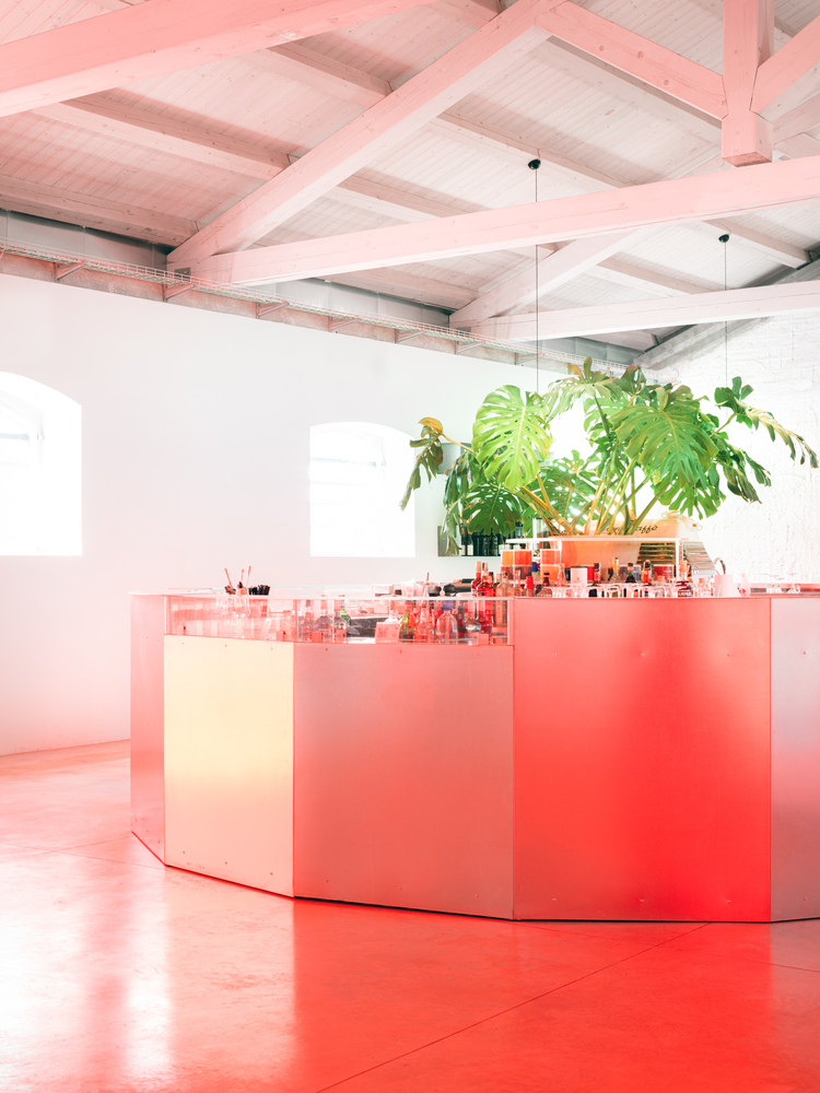 Interior counter with red acrylic panels beneath exposed timber beams and potted tropical plants