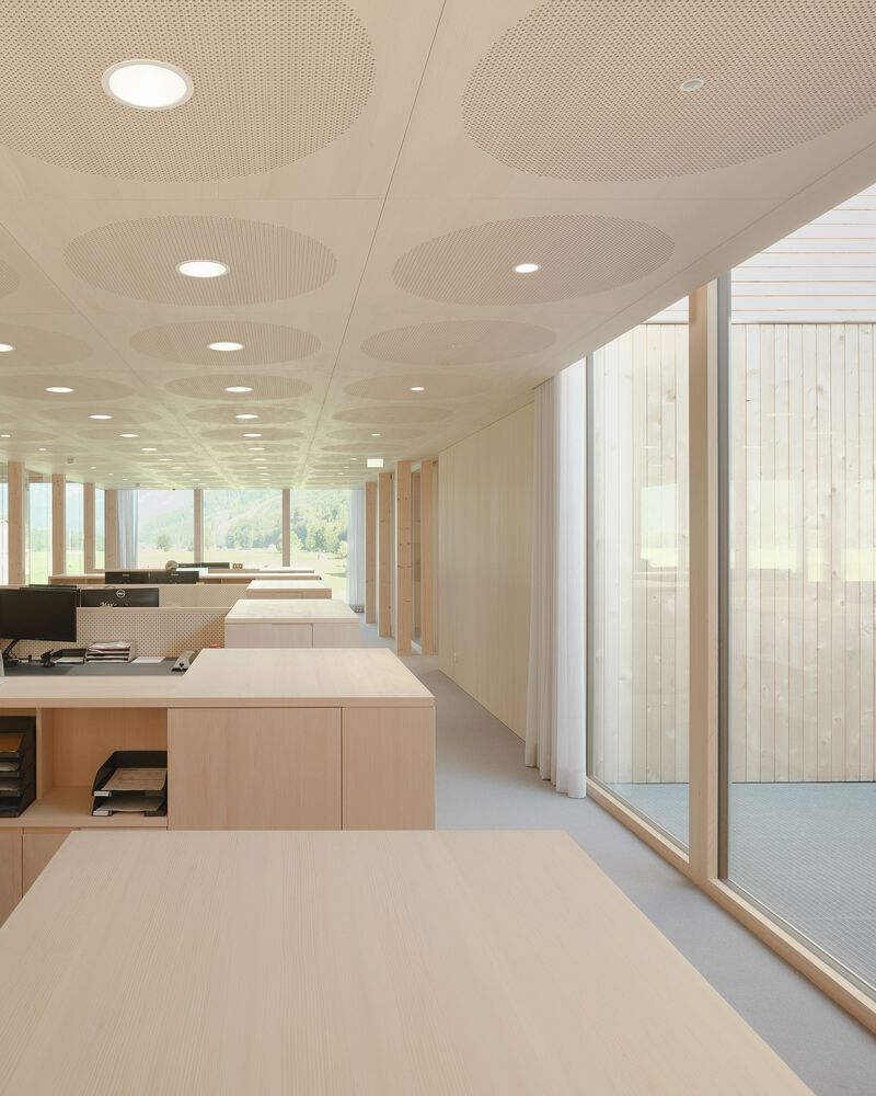 Open-plan office with circular perforated ceiling panels and light timber desks along floor-to-ceiling windows