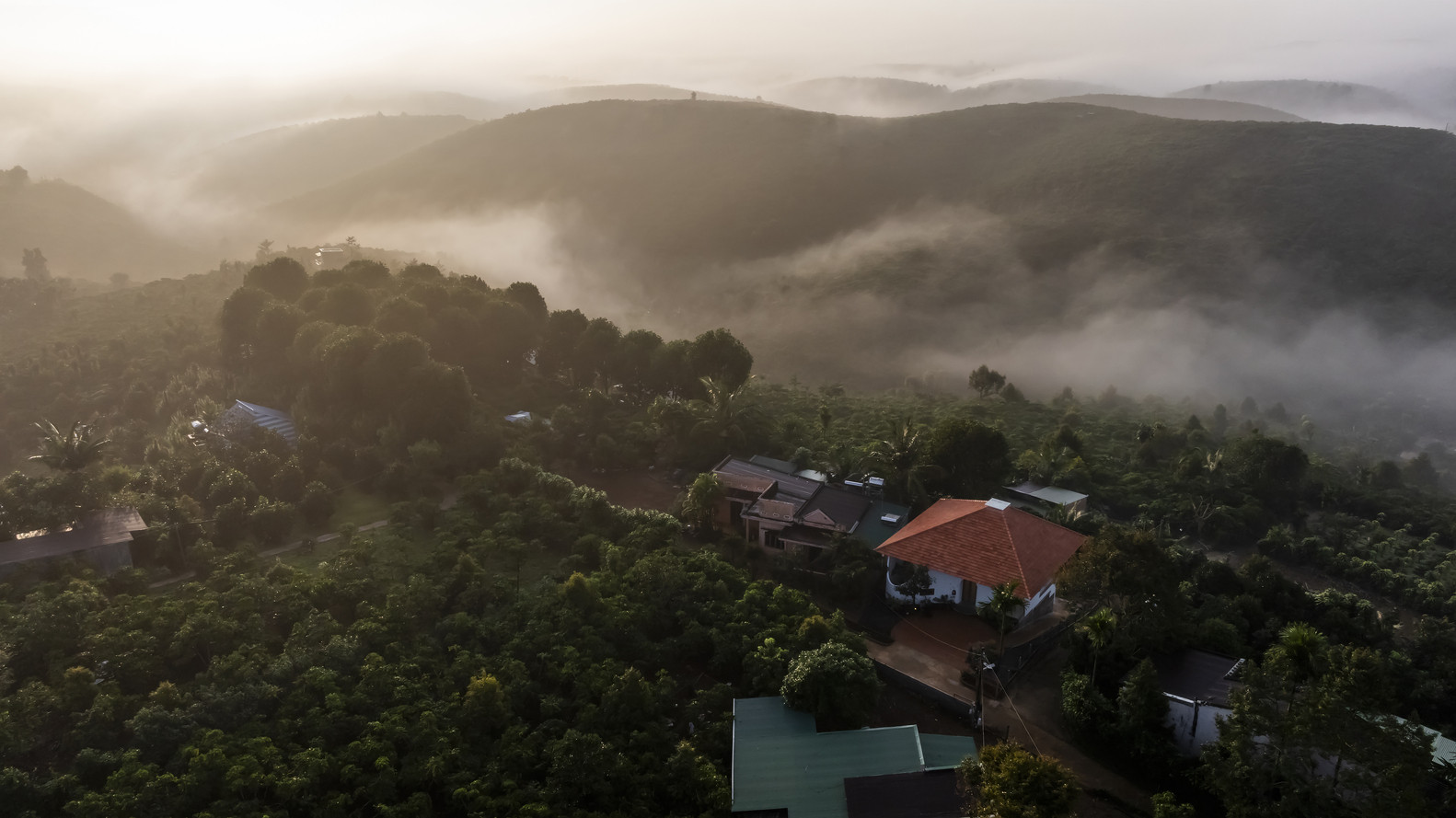 Aerial view of scattered houses with terracotta and metal roofs nestled in dense foliage under morning mist