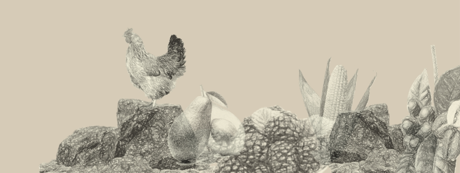 Agricultural Abundance: A celebration of local produce and natural resources, vital for food security and cultural identity.