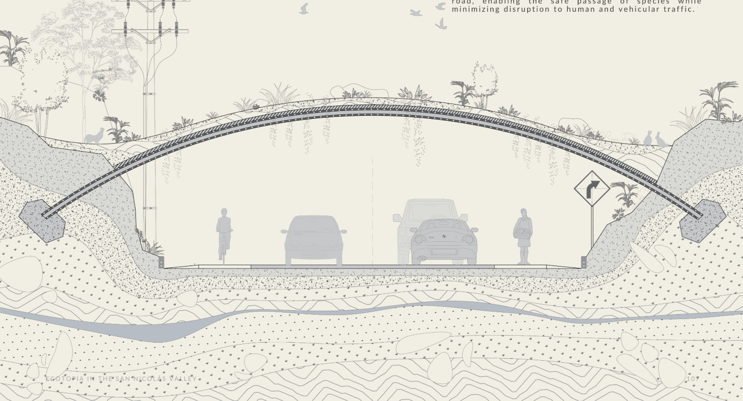 Wildlife Bridge Design: Ensuring safe wildlife passage while maintaining connectivity for both humans and nature.