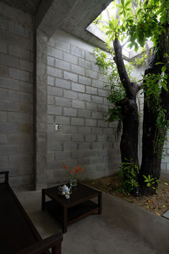 Interior corner with concrete block walls and skylight illuminating a tree trunk beside a low table