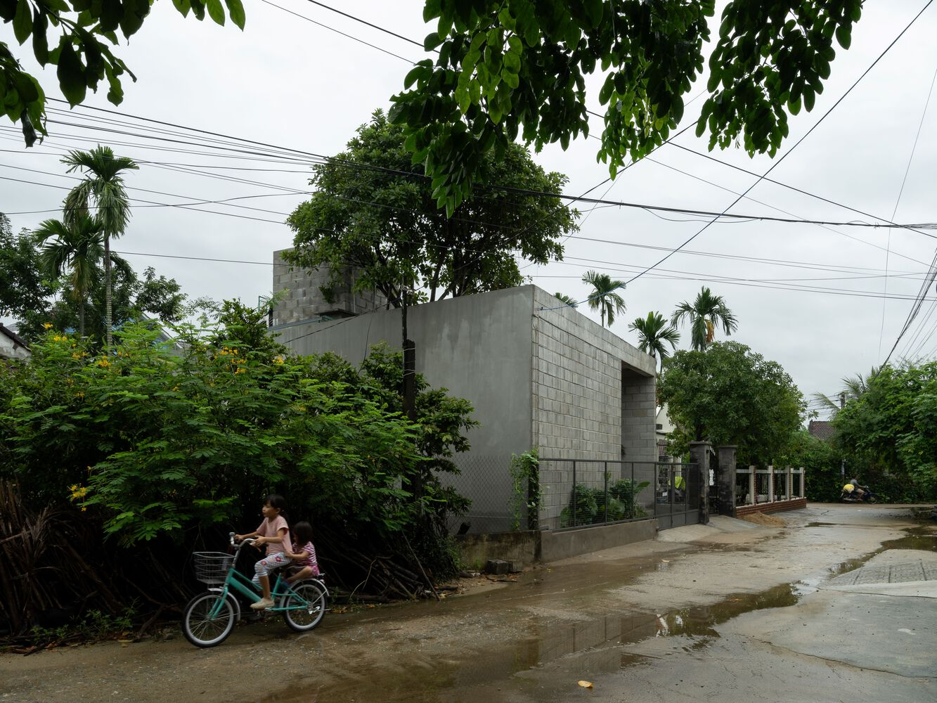 Street view of the concrete block facade with a tree growing through the roof and two figures on a bicycle