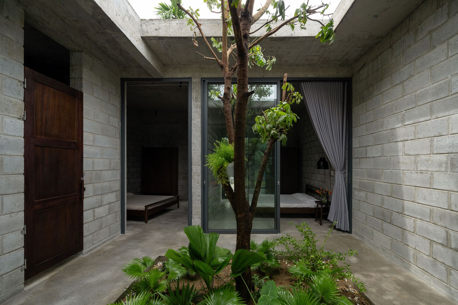 Interior courtyard with concrete block walls, timber door, and mature tree surrounded by planted beds