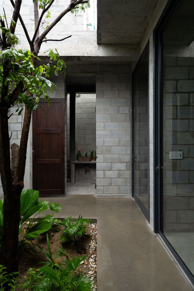 Narrow circulation space with exposed concrete ceiling, concrete block walls, and tree branches overhead