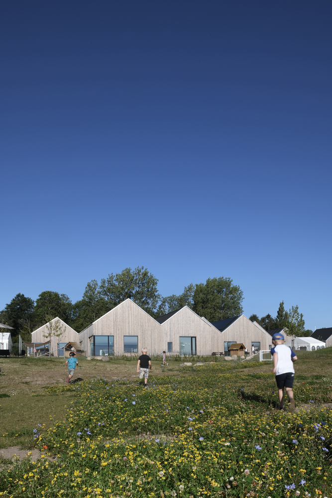 Timber gabled facades viewed across wildflower meadow with children playing in afternoon sun