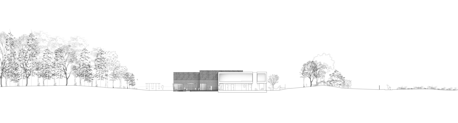 Elevation drawing showing a low horizontal volume with vertical cladding between rows of trees