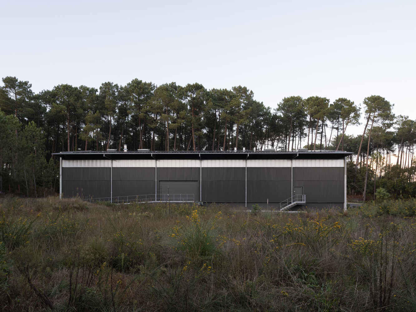 Long corrugated metal facade with flat roof set against pine forest and grassland