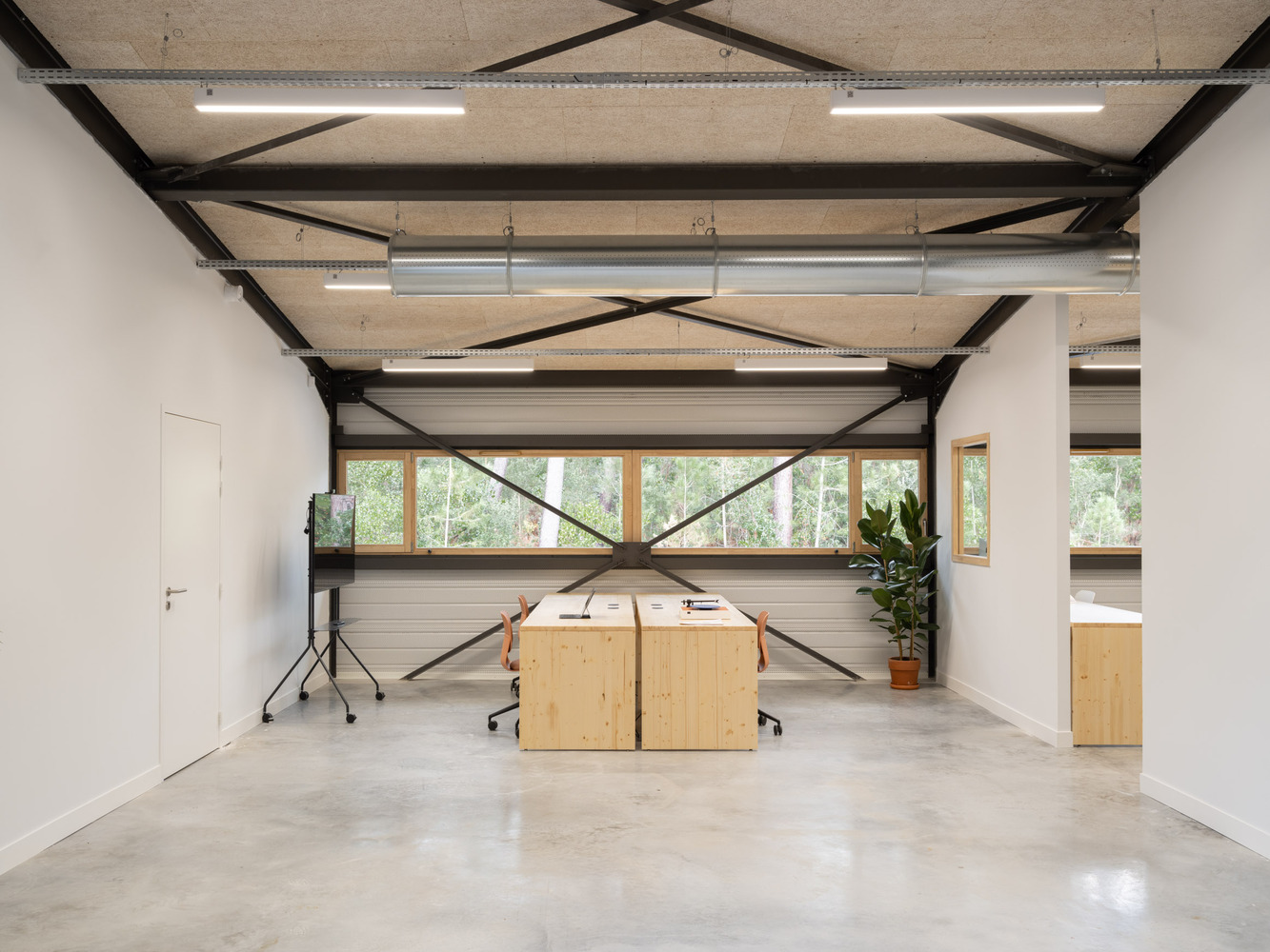 Steel cross-bracing spanning workspace with timber desks and continuous horizontal window