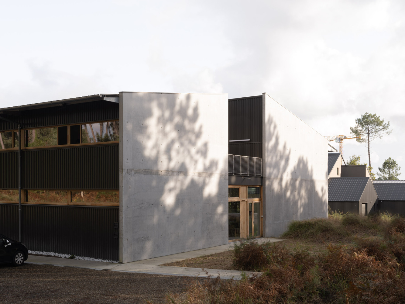 Concrete and corrugated metal facade with dappled tree shadows falling across the entrance wall
