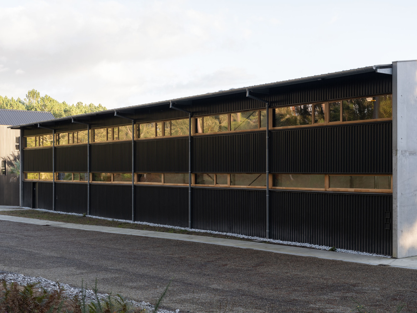 Long corrugated metal facade with horizontal timber-framed glazing bands reflecting evening light