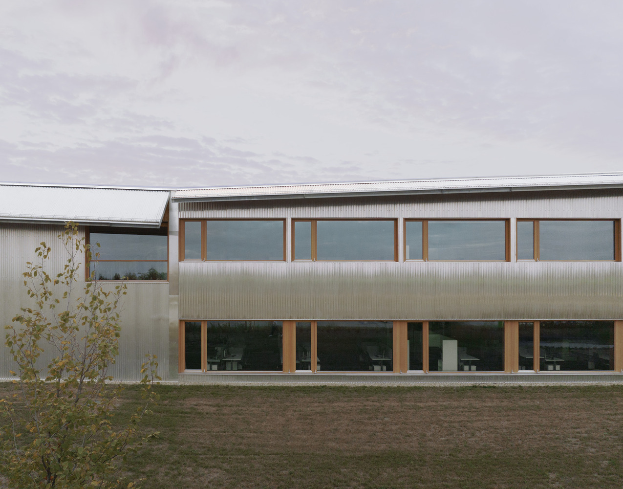 Two-story facade with corrugated metal cladding, timber-framed windows, and a young tree on grass