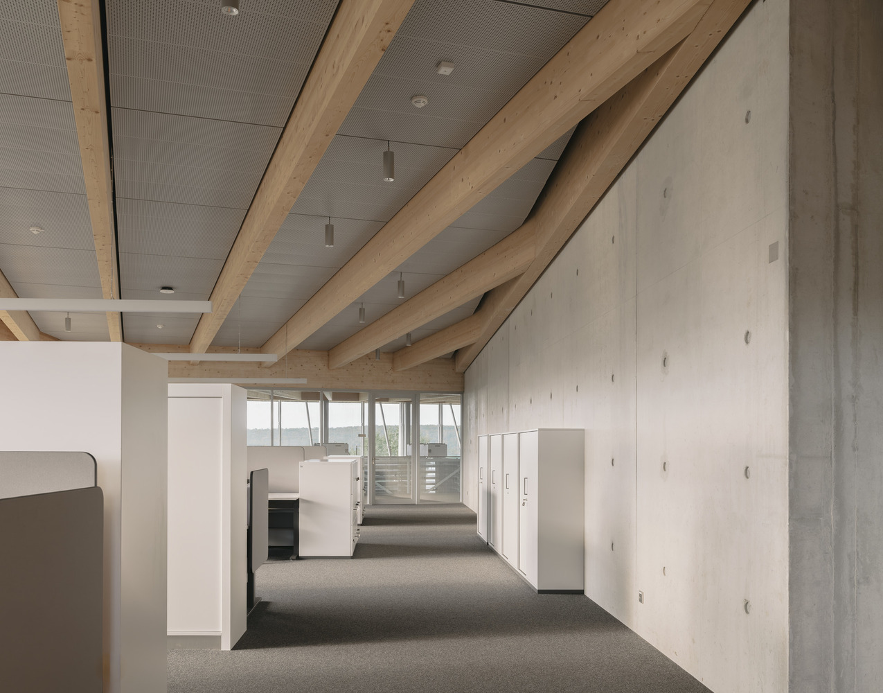 Diagonal timber beams spanning across concrete walls and perforated ceiling in carpeted office corridor