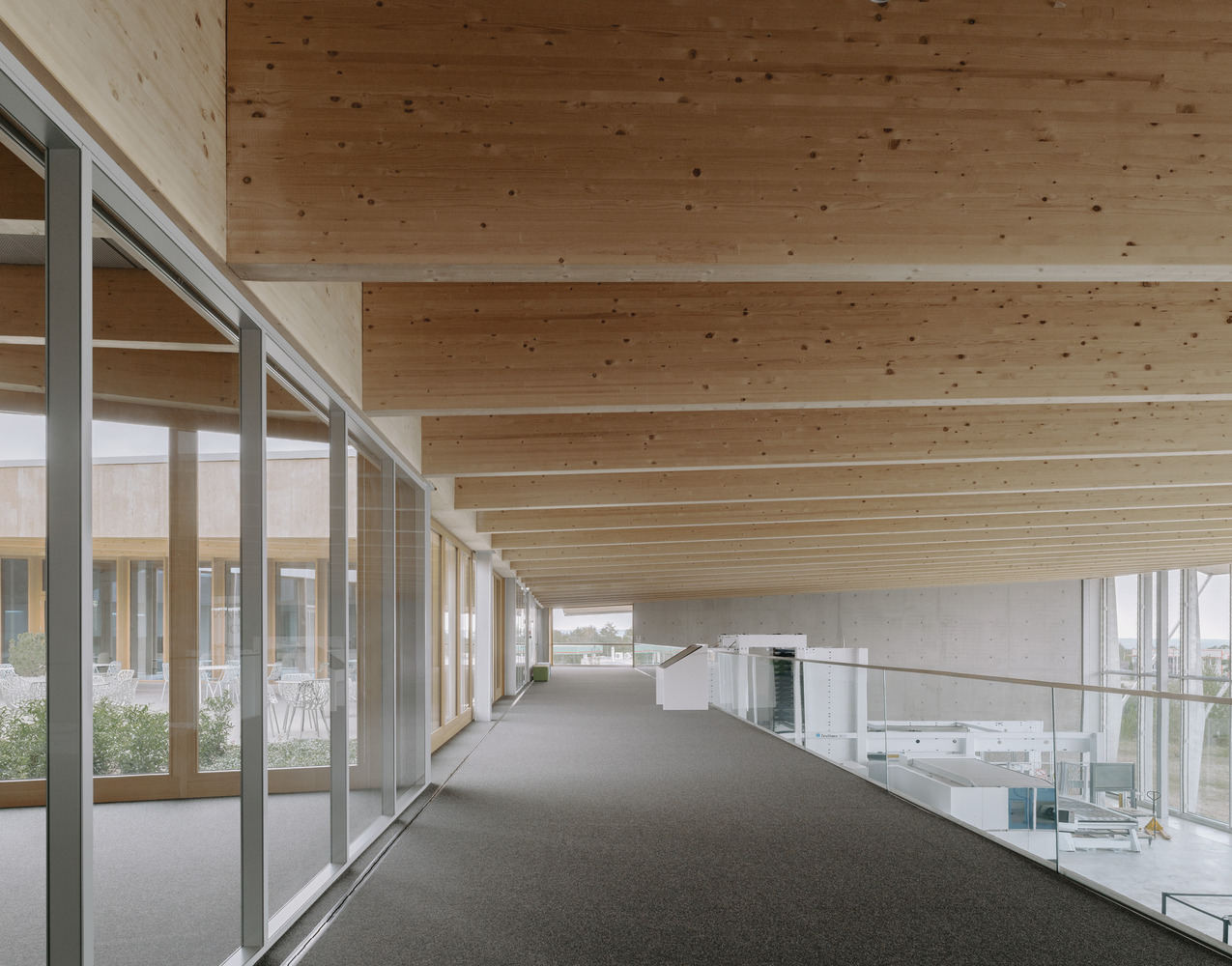 Mezzanine corridor with exposed timber plank ceiling overlooking glazed courtyard terrace on an overcast day
