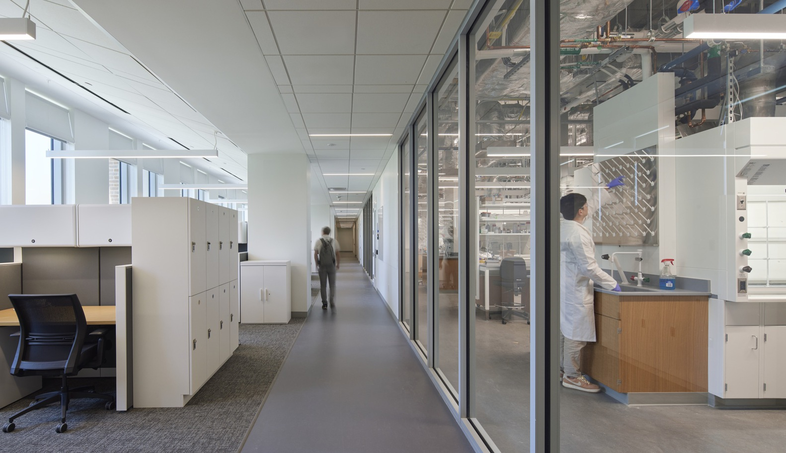 Laboratory corridor with glass partitions revealing researchers at work benches under fluorescent ceiling panels