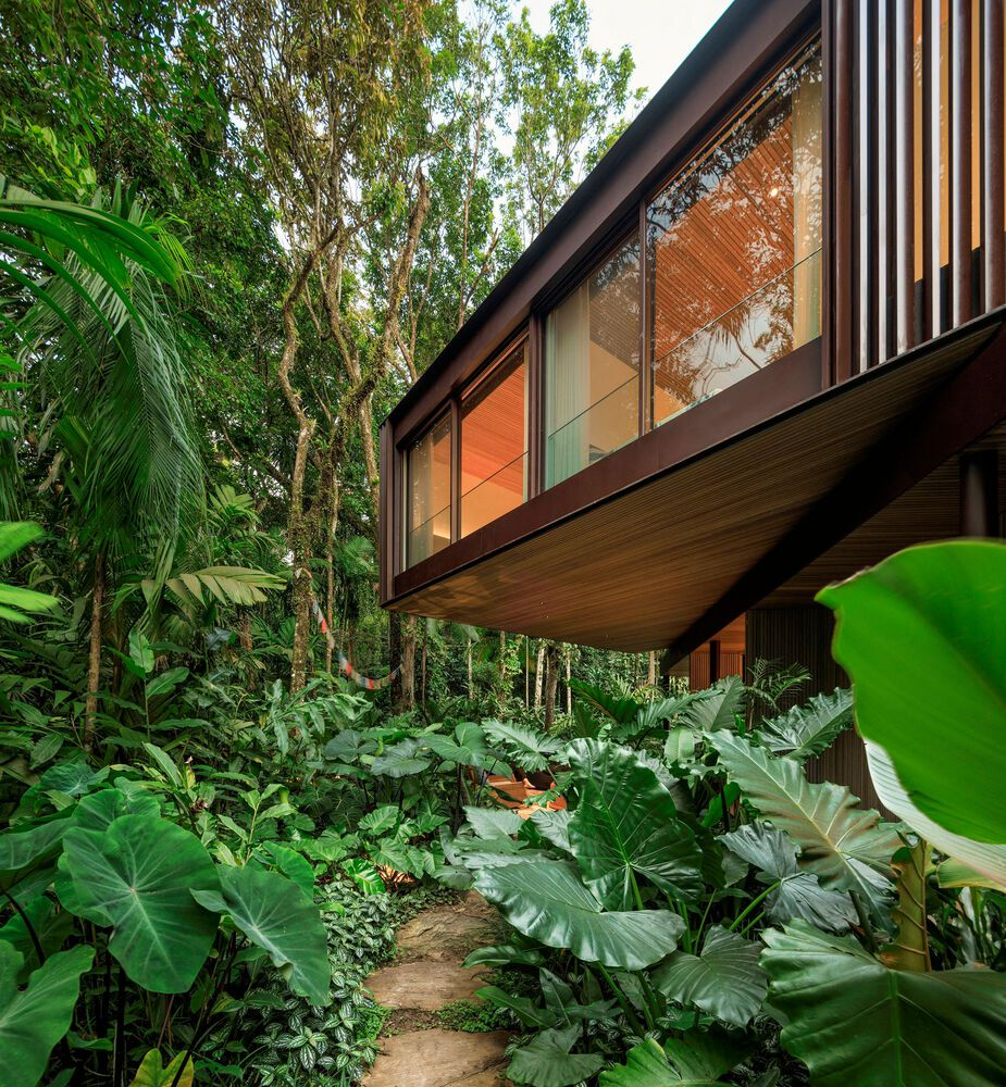 Upper volume from garden: cantilevered dark timber block with large window, dense tropical planting along stone path