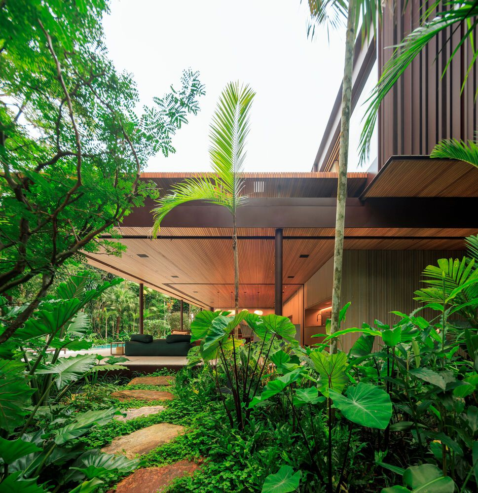 Garden approach: angled upper volume over steel and timber structure, palm tree, tropical understorey