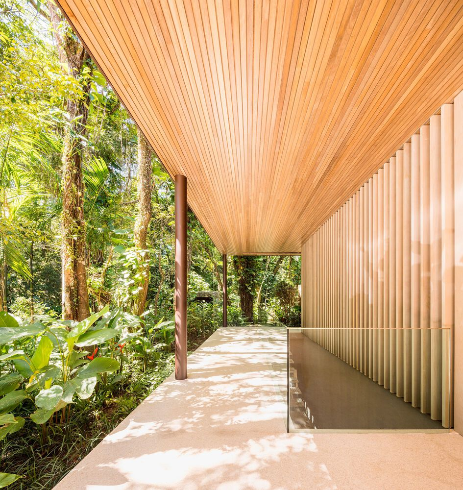 Covered walkway: timber ceiling and vertical timber slats, garden planting at edge, dappled tropical light