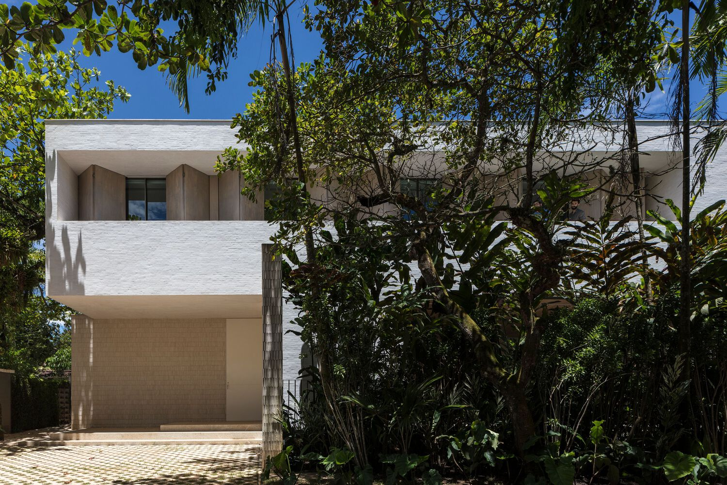 Street facade with cantilevered white volume and timber recessed entry surrounded by mature trees