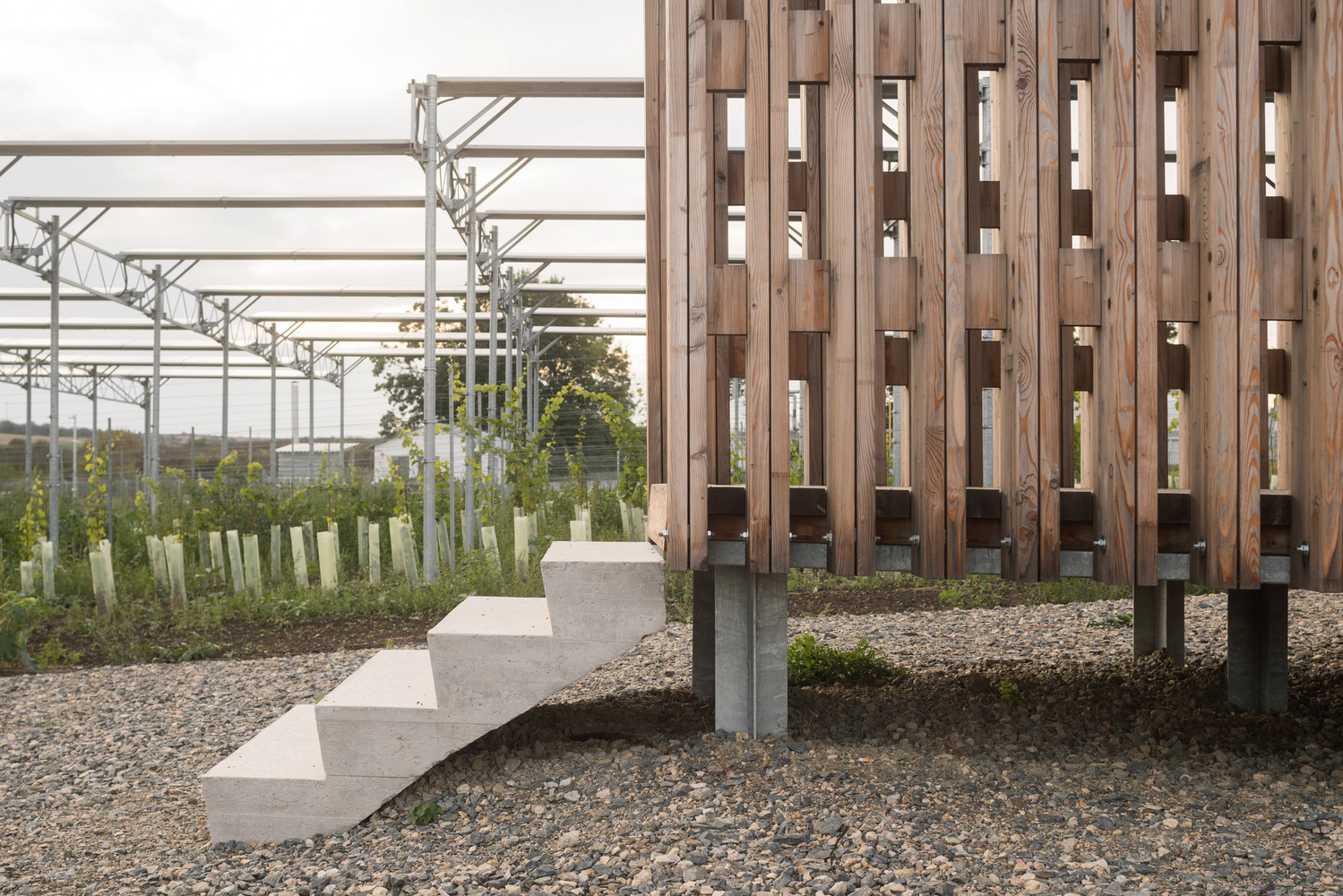 Timber screen wall with vertical slats on concrete piers beside concrete steps and a greenhouse structure