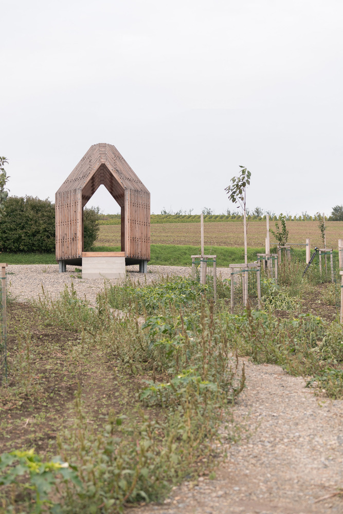 Gable-front timber pavilion on concrete piers in a gravel clearing with young saplings and grasses