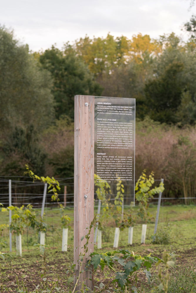 Timber post with mounted interpretive panel in a planted orchard during early autumn