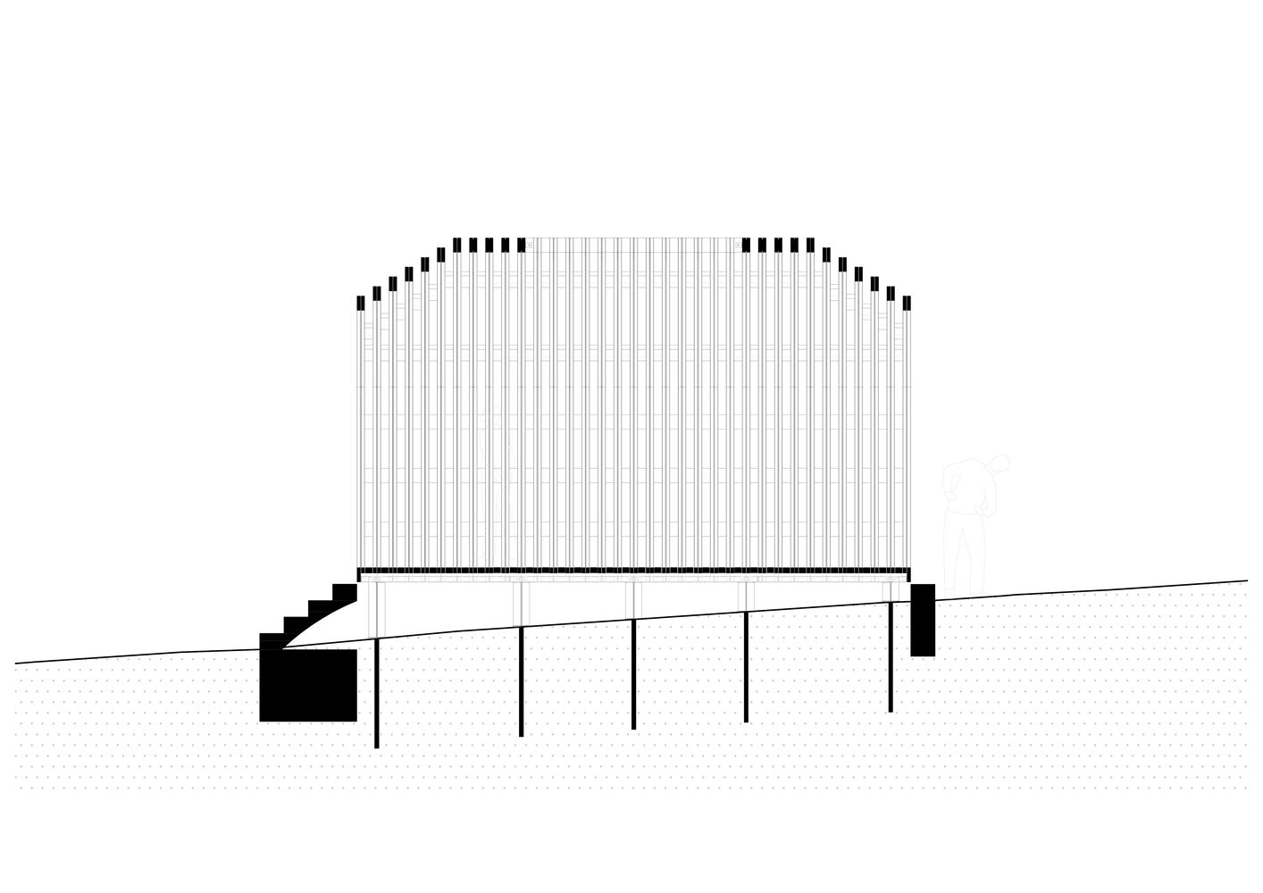 Section drawing showing the curved roof structure supported by columns above a sloping ground plane