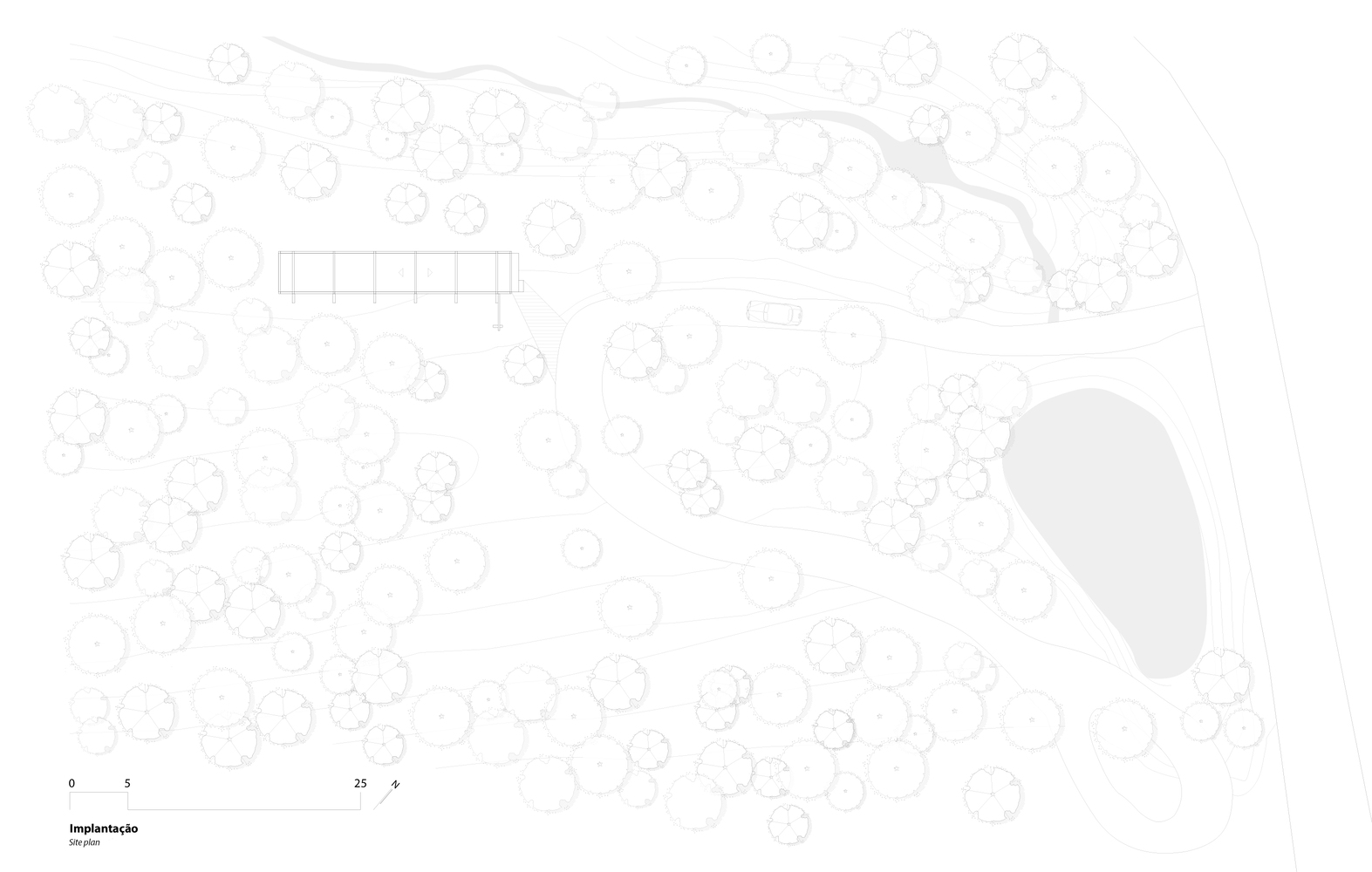 All Photographs are work of Gabriel Tomich