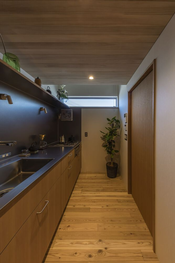Galley kitchen with dark countertops, timber cabinetry, and a potted plant near the entrance door
