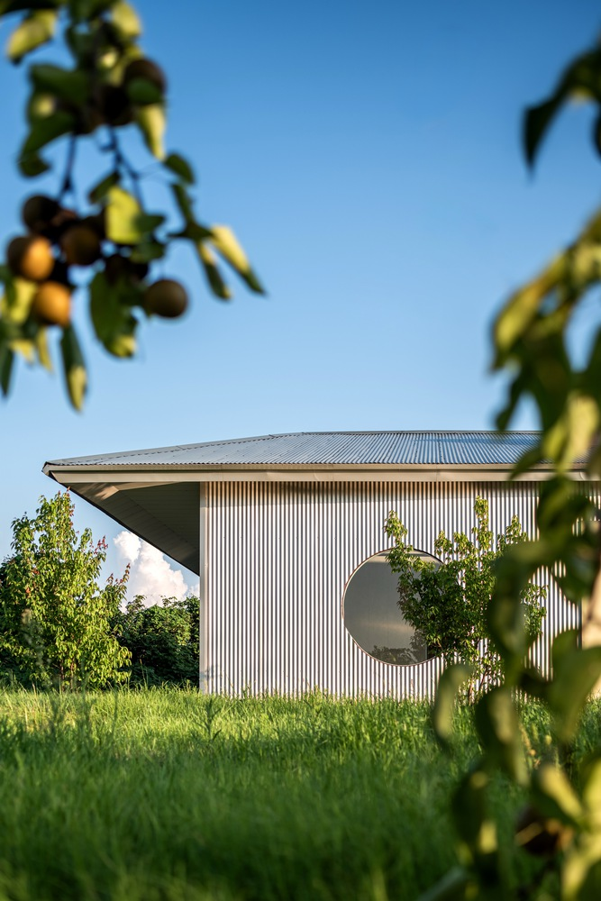 Vertical corrugated facade with circular window framed by fruit tree branches