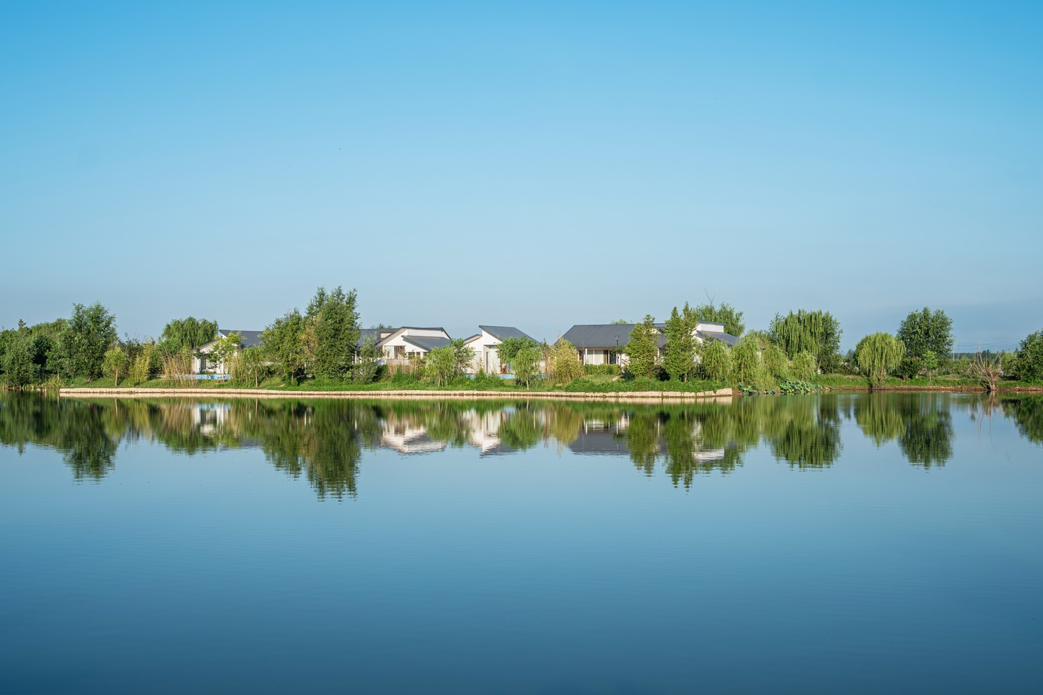 Residential buildings along a pond with trees reflected in still water under clear skies