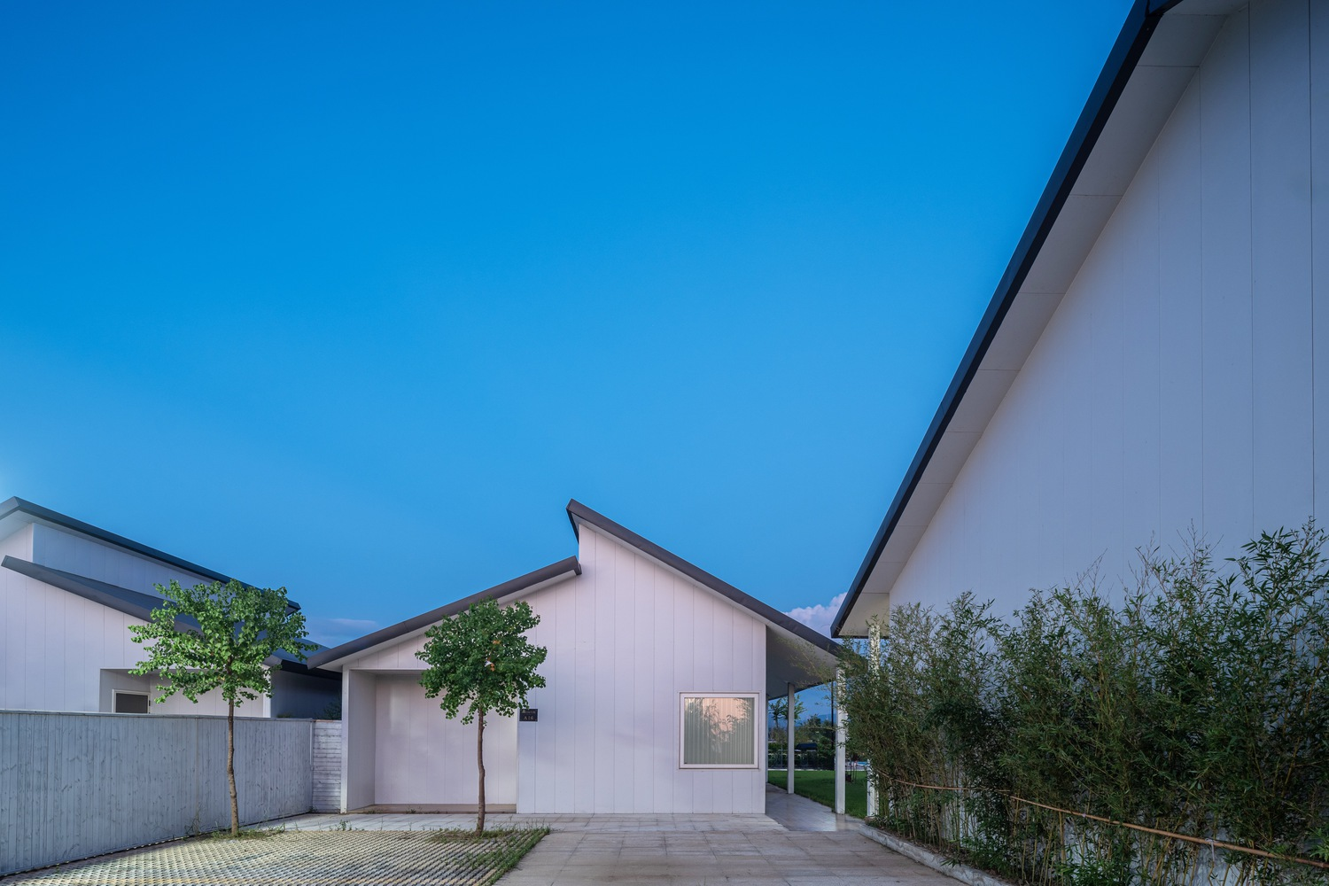 White gabled volumes with vertical panel cladding along a driveway lined with bamboo at twilight