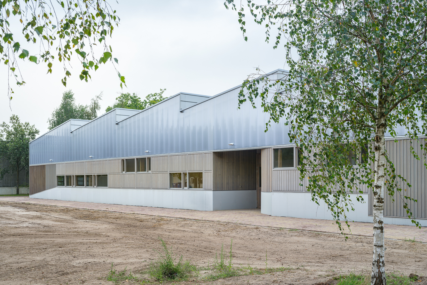 Exterior from birch trees: timber-clad lower volume beneath translucent polycarbonate upper walls