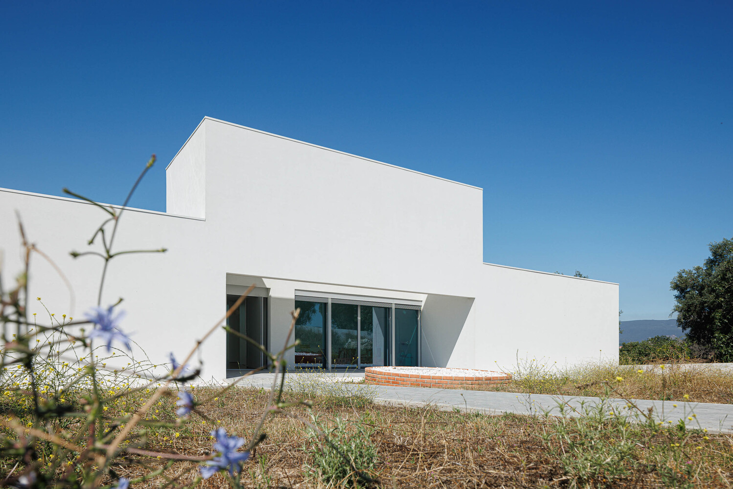 White volumetric facade with recessed glazing and terrace surrounded by wildflowers under clear blue sky