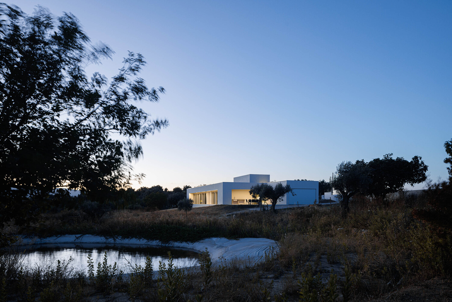 Evening view of white volumes across a pond with native grasses and surrounding trees