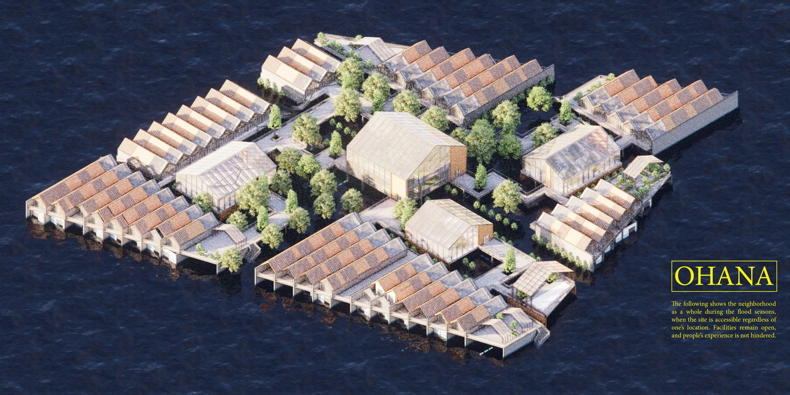 A bird's-eye view of the flood-resilient neighborhood layout, emphasizing accessibility and openness.