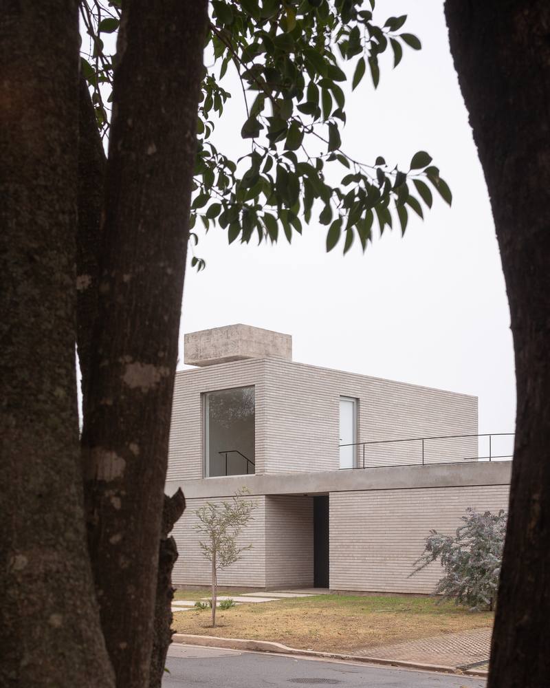 The house through tree canopy: brick upper volume above concrete base, reserve beyond