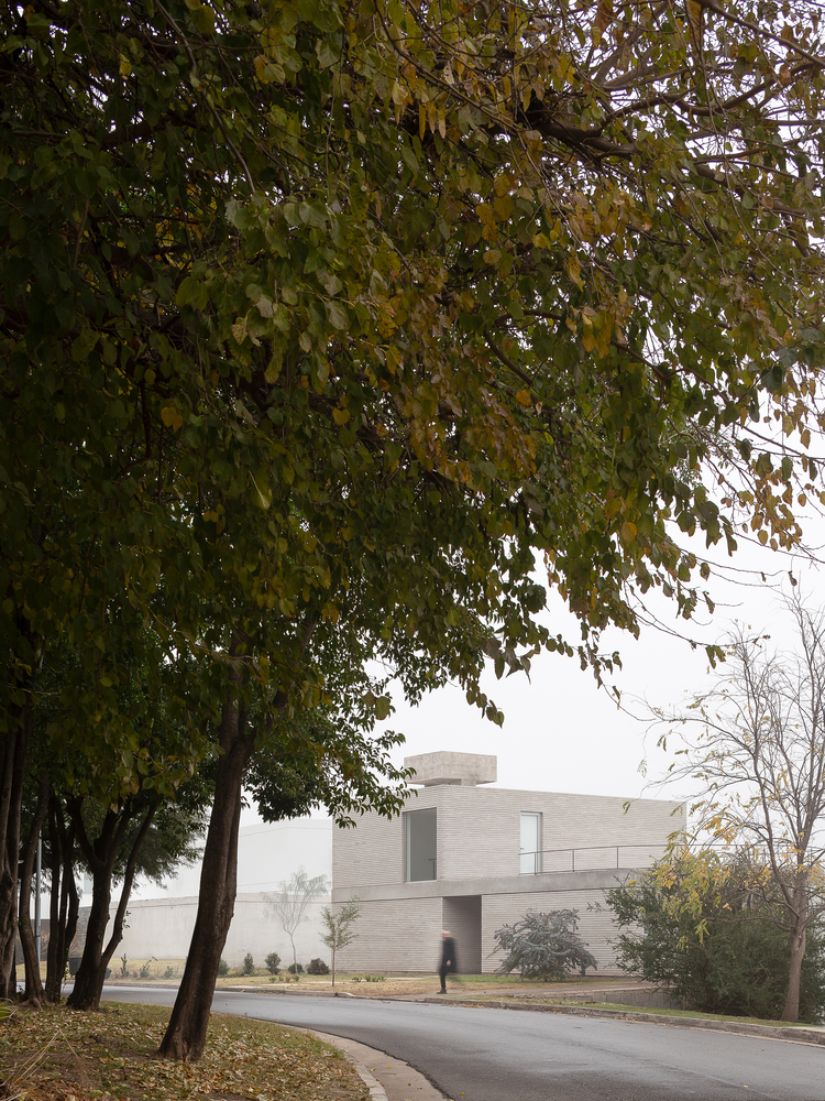 The house from the San Martin Reserve: autumn trees, brick form visible through the canopy