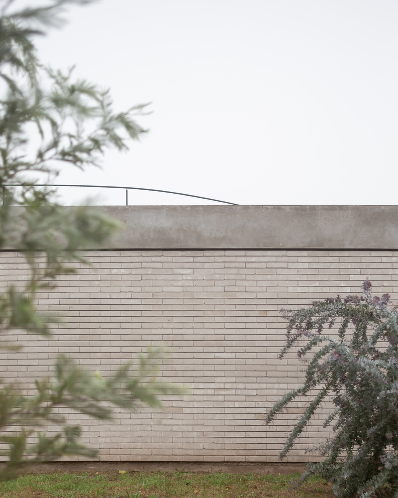 Roofline through planting: the long brick parapet and metal railing seen from the garden