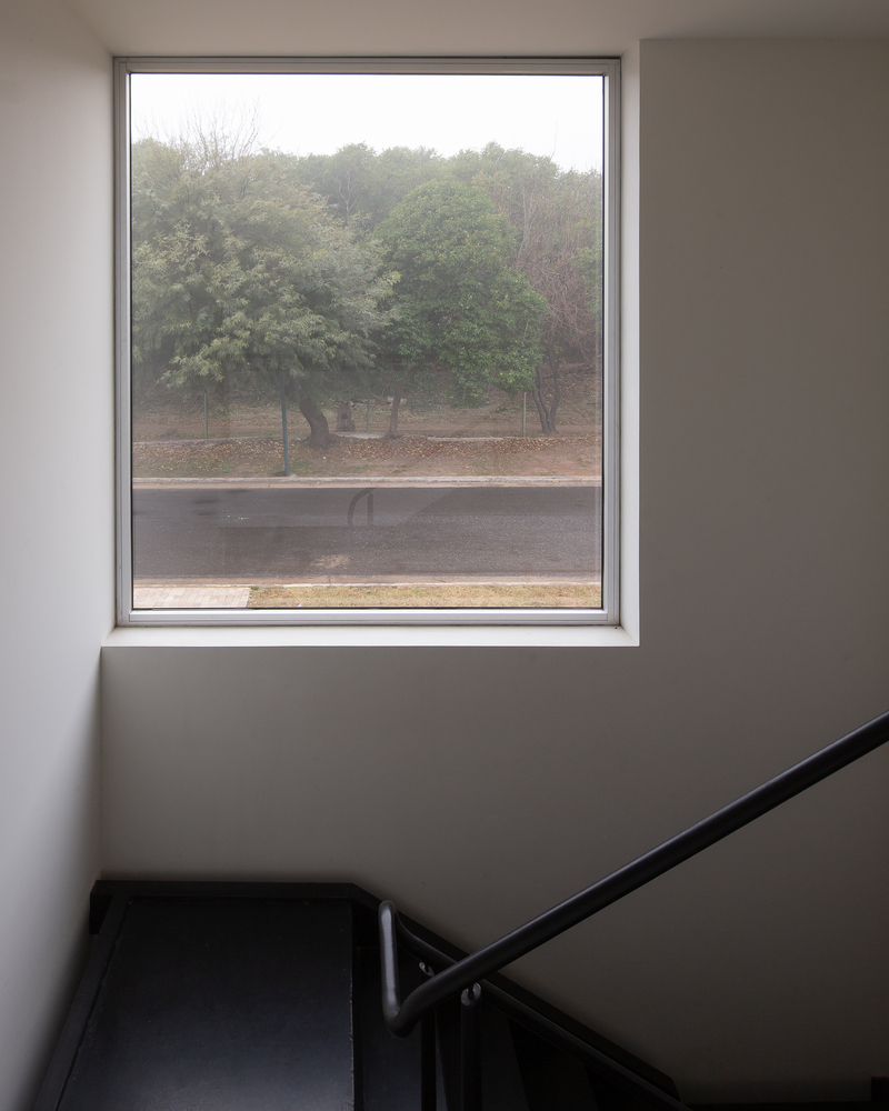 Stair landing window: large frame looking out to the reserve trees