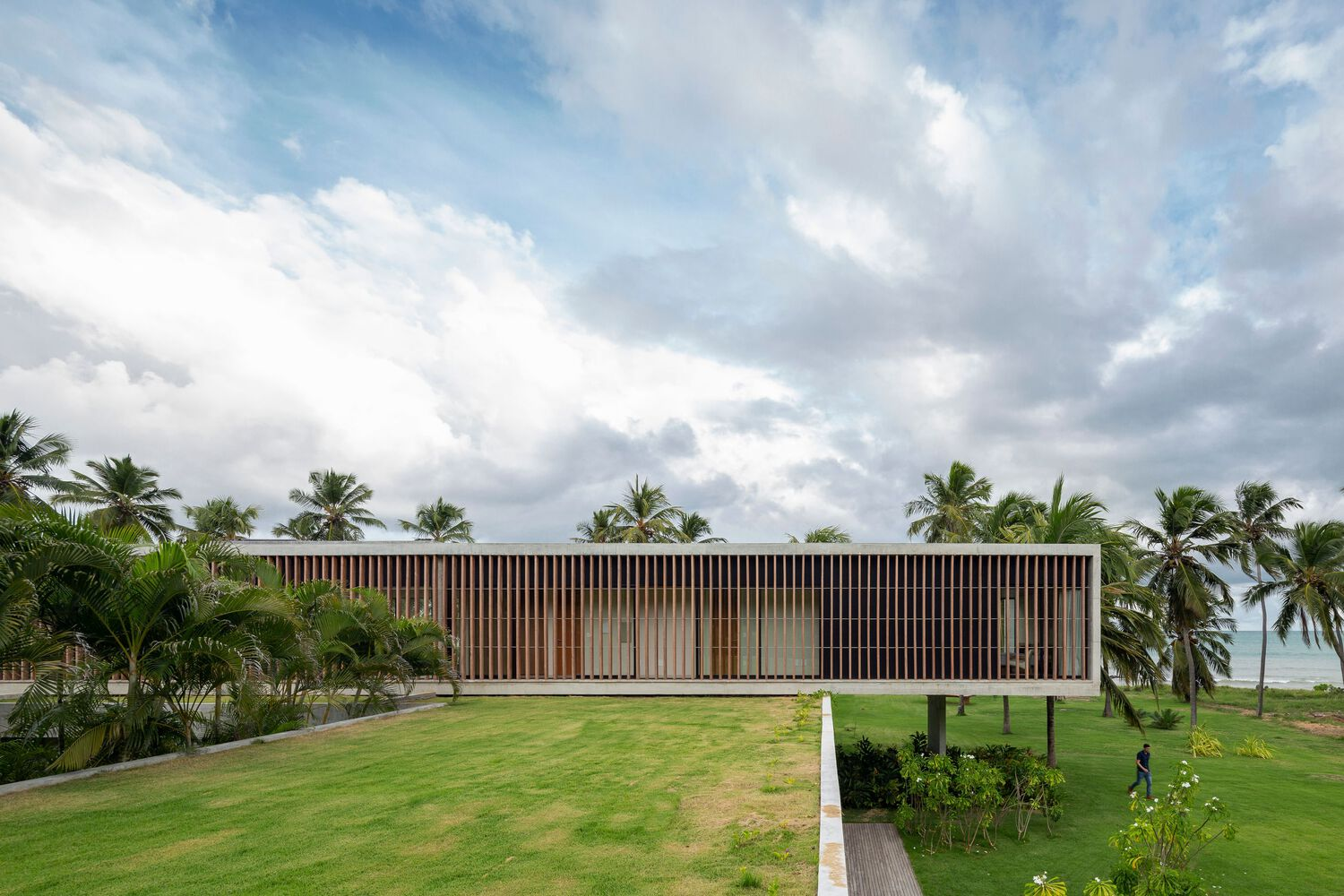 Rear elevation from the green roof: full timber brise-soleil screen, palm canopy, dramatic clouds