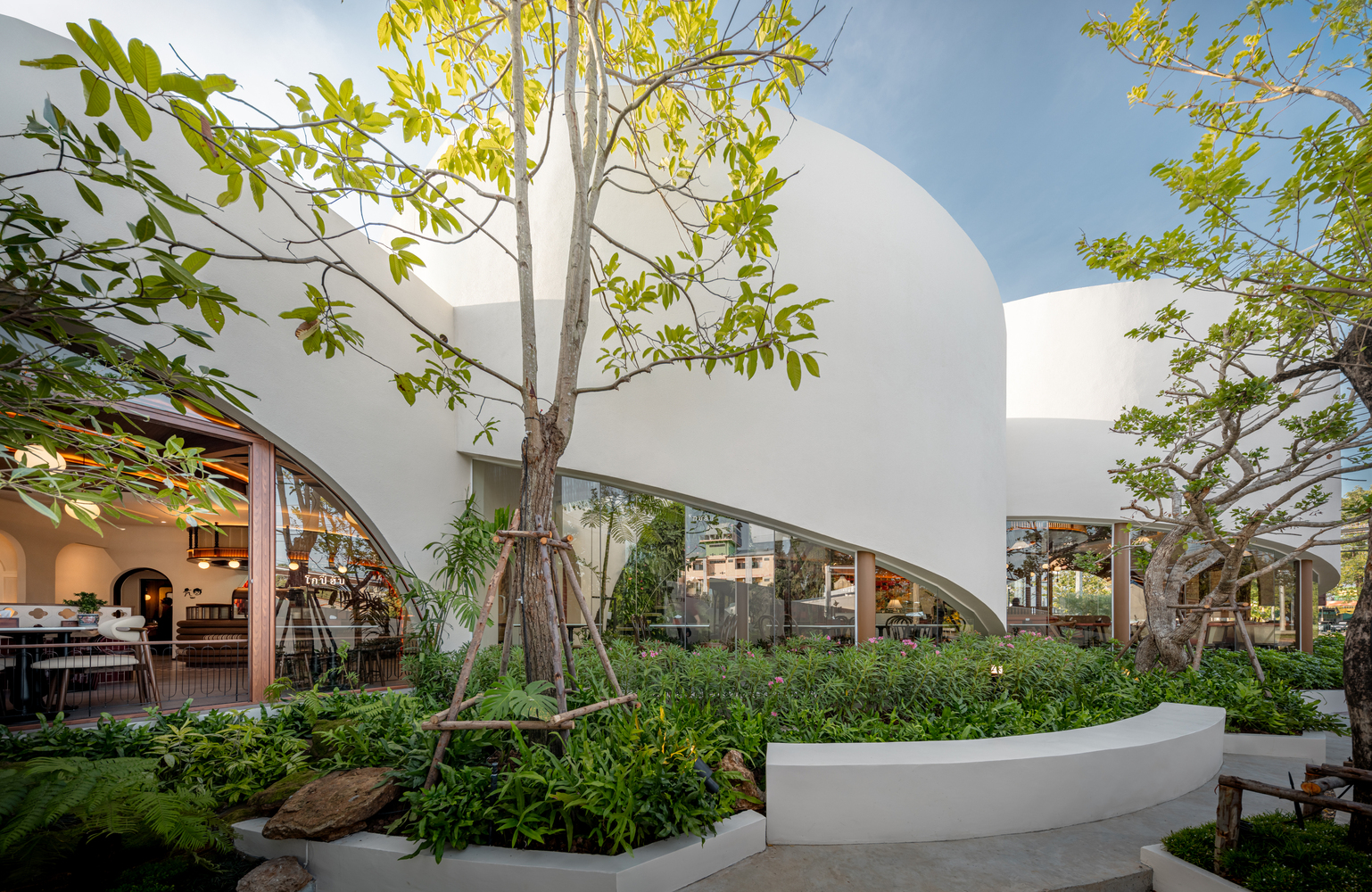 Courtyard garden with curved white planter bed surrounding young trees under a blue sky