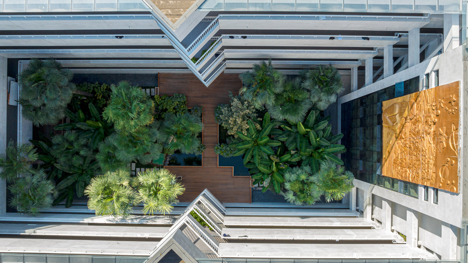 Overhead view of a rooftop garden with timber decking and planted palms between glass towers
