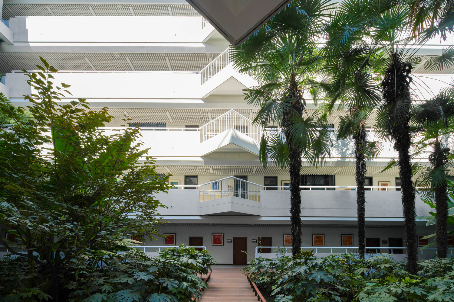 Interior courtyard garden with palm trees, planted beds and white balconies overlooking the greenery from multiple levels